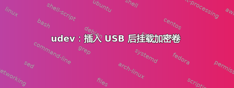 udev：插入 USB 后挂载加密卷