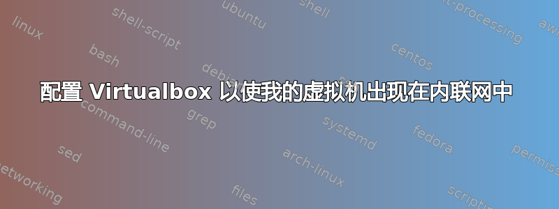 配置 Virtualbox 以使我的虚拟机出现在内联网中