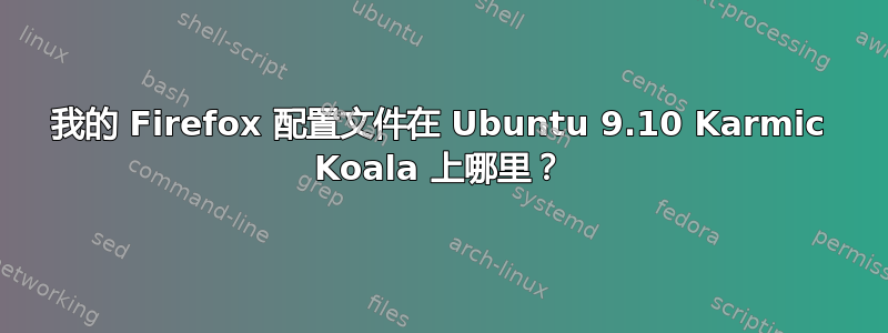 我的 Firefox 配置文件在 Ubuntu 9.10 Karmic Koala 上哪里？