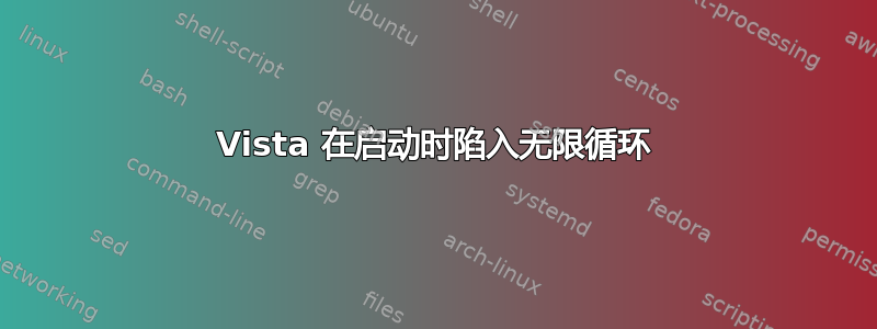 Vista 在启动时陷入无限循环