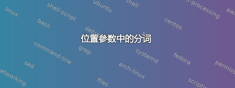 位置参数中的分词