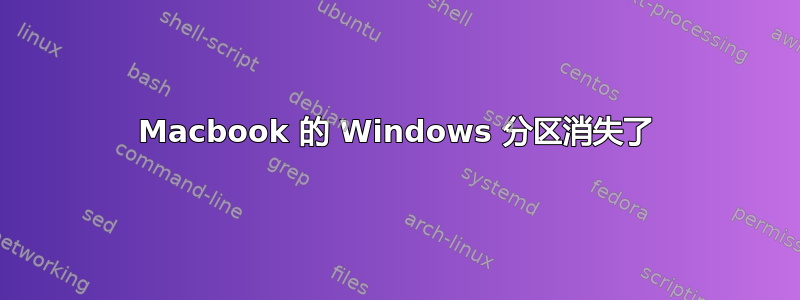 Macbook 的 Windows 分区消失了