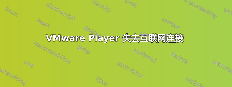 VMware Player 失去互联网连接