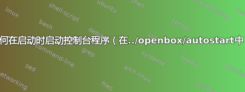 如何在启动时启动控制台程序（在../openbox/autostart中）