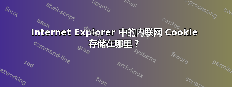 Internet Explorer 中的内联网 Cookie 存储在哪里？