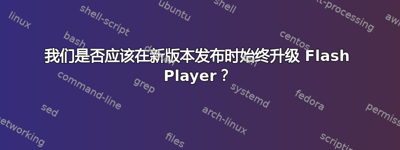 我们是否应该在新版本发布时始终升级 Flash Player？