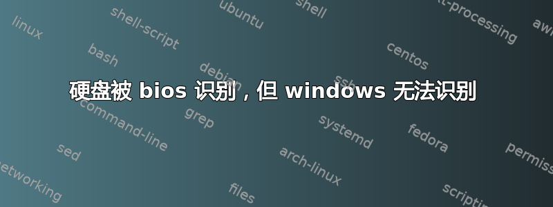 硬盘被 bios 识别，但 windows 无法识别