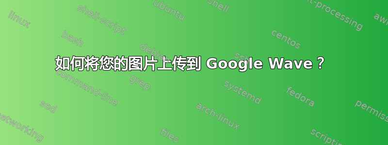 如何将您的图片上传到 Google Wave？