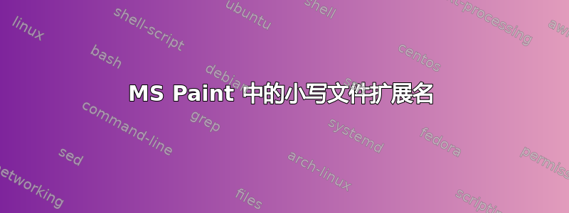 MS Paint 中的小写文件扩展名