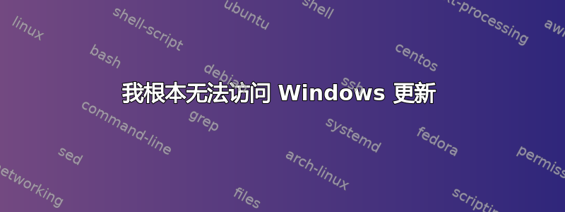 我根本无法访问 Windows 更新