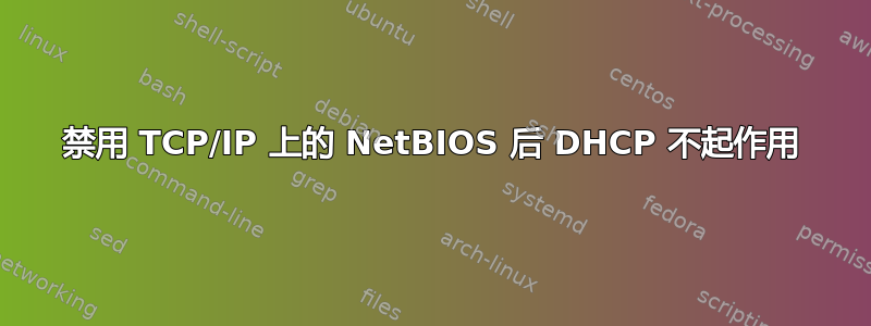 禁用 TCP/IP 上的 NetBIOS 后 DHCP 不起作用