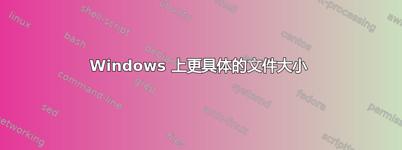 Windows 上更具体的文件大小