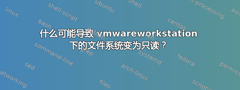 什么可能导致 vmwareworkstation 下的文件系统变为只读？