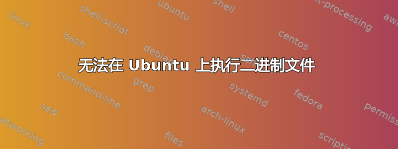 无法在 Ubuntu 上执行二进制文件