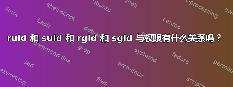 ruid 和 suid 和 rgid 和 sgid 与权限有什么关系吗？