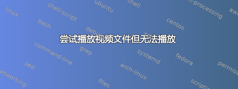 尝试播放视频文件但无法播放