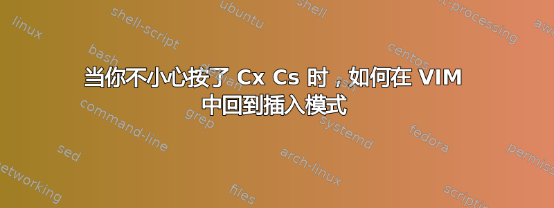 当你不小心按了 Cx Cs 时，如何在 VIM 中回到插入模式