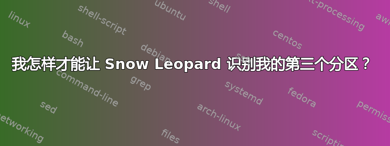 我怎样才能让 Snow Leopard 识别我的第三个分区？