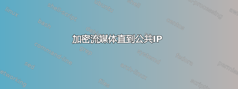 加密流媒体直到公共IP