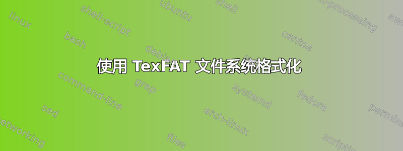 使用 TexFAT 文件系统格式化