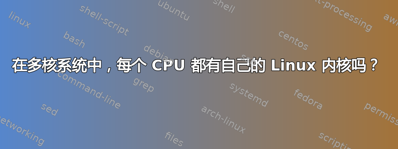 在多核系统中，每个 CPU 都有自己的 Linux 内核吗？