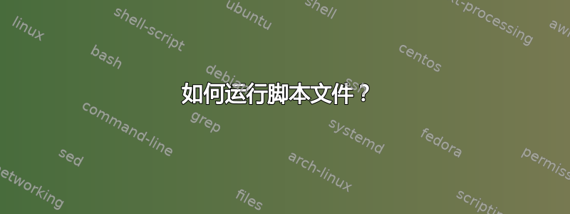 如何运行脚本文件？ 