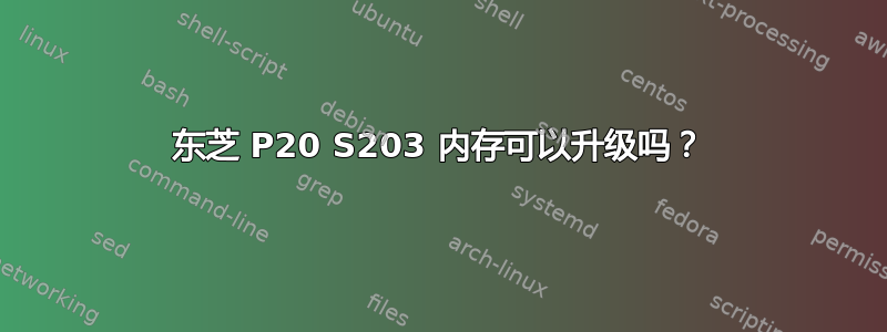 东芝 P20 S203 内存可以升级吗？