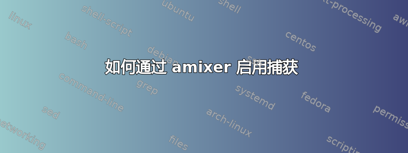 如何通过 amixer 启用捕获