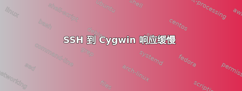 SSH 到 Cygwin 响应缓慢