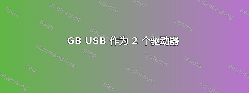 4GB USB 作为 2 个驱动器