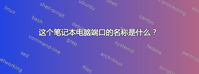 这个笔记本电脑端口的名称是什么？