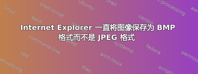 Internet Explorer 一直将图像保存为 BMP 格式而不是 JPEG 格式 