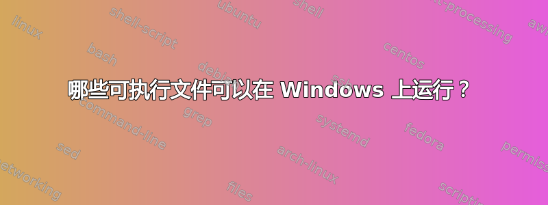 哪些可执行文件可以在 Windows 上运行？