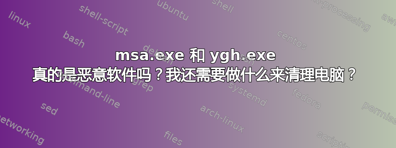 msa.exe 和 ygh.exe 真的是恶意软件吗？我还需要做什么来清理电脑？