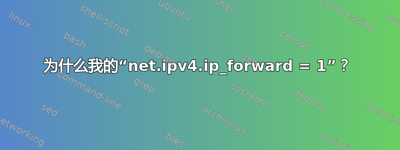 为什么我的“net.ipv4.ip_forward = 1”？