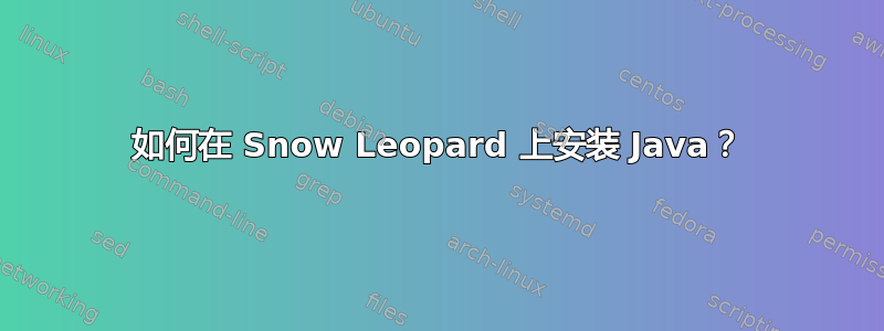 如何在 Snow Leopard 上安装 Java？