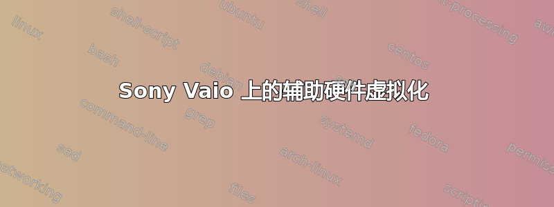 Sony Vaio 上的辅助硬件虚拟化