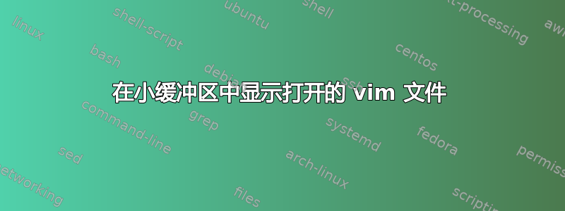 在小缓冲区中显示打开的 vim 文件