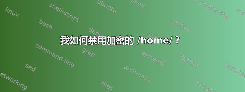 我如何禁用加密的 /home/？