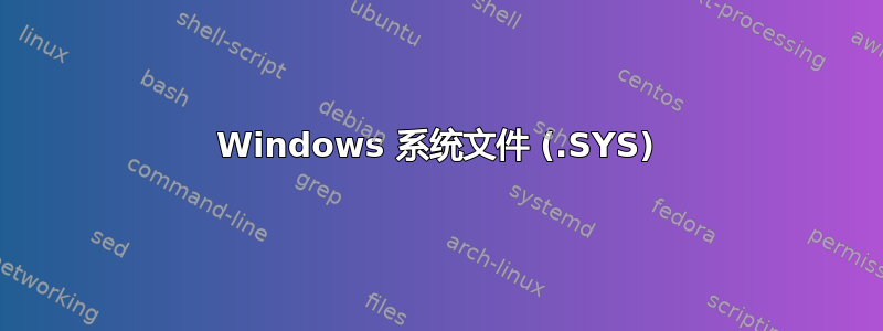 Windows 系统文件 (.SYS)