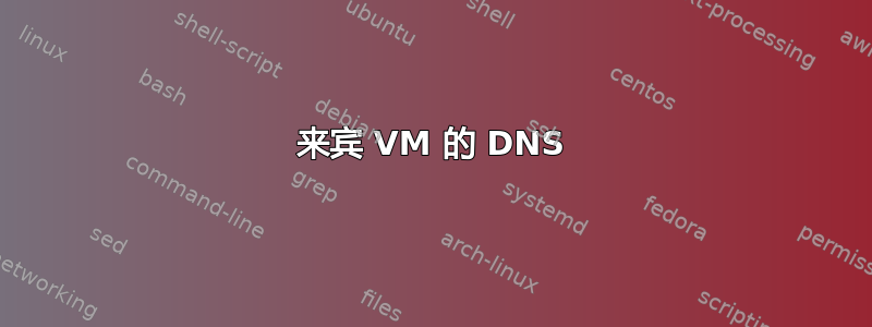 来宾 VM 的 DNS