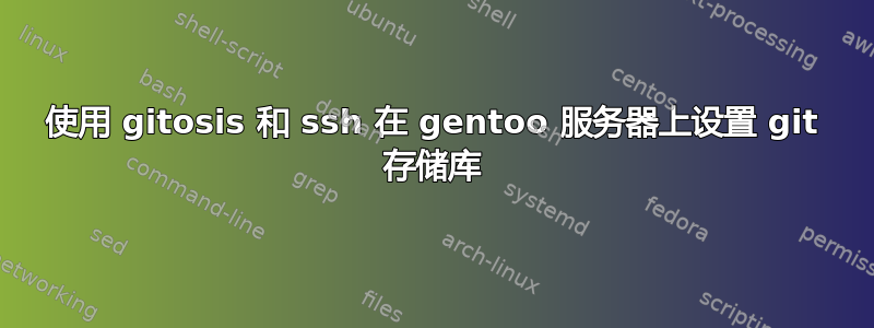 使用 gitosis 和 ssh 在 gentoo 服务器上设置 git 存储库