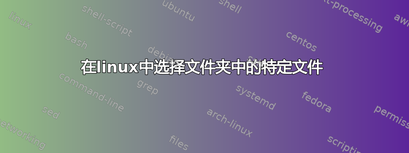 在linux中选择文件夹中的特定文件