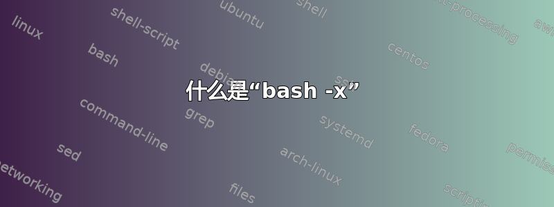 什么是“bash -x”