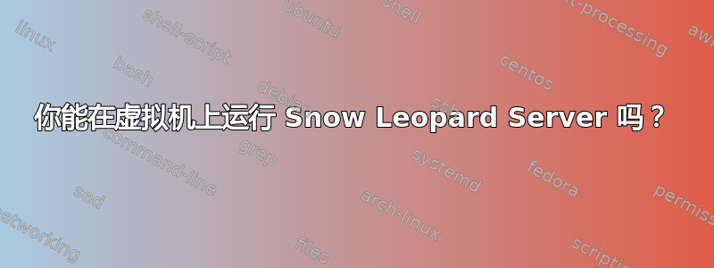 你能在虚拟机上运行 Snow Leopard Server 吗？