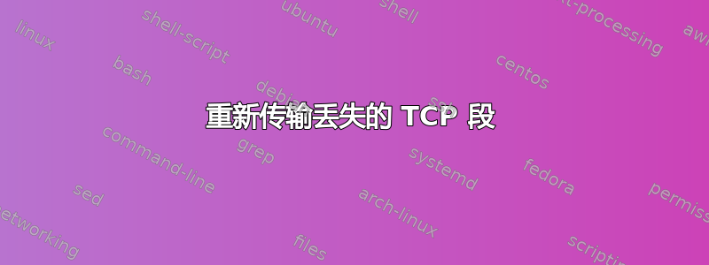 重新传输丢失的 TCP 段