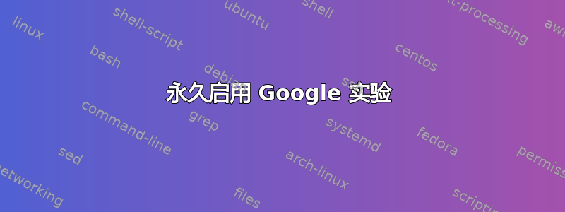 永久启用 Google 实验