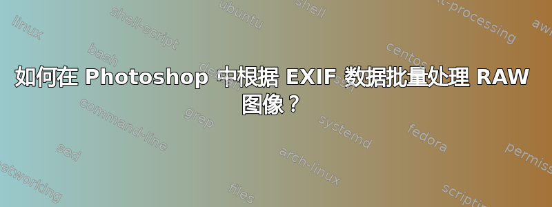 如何在 Photoshop 中根据 EXIF 数据批量处理 RAW 图像？