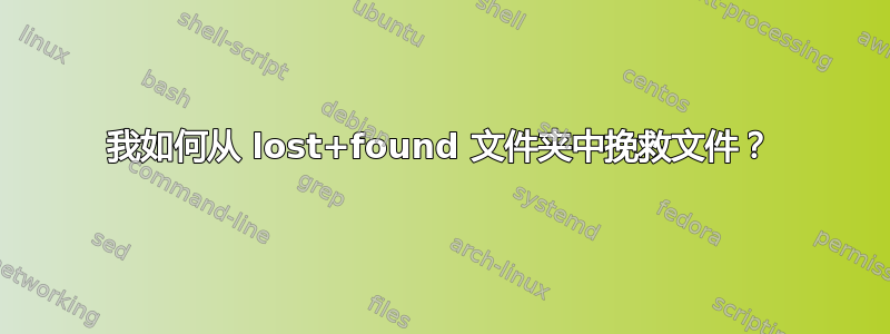 我如何从 lost+found 文件夹中挽救文件？