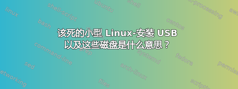 该死的小型 Linux-安装 USB 以及这些磁盘是什么意思？